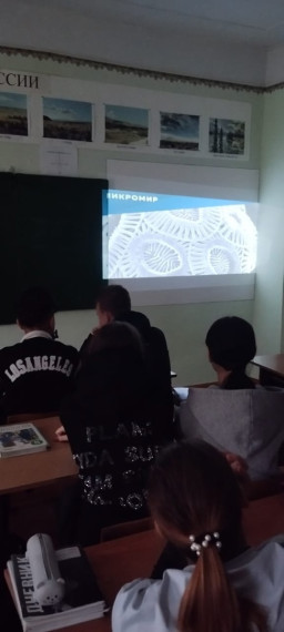 Всероссийский урок «Эколята – молодые защитники природы».